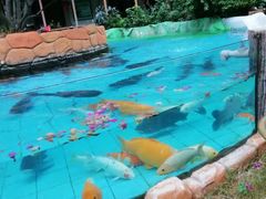 -忆江南·临江鱼馆