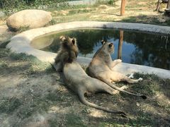 -泉州海丝野生动物世界