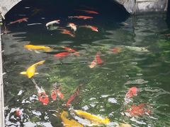 -长春观