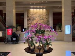 -金鸡湖大酒店·金咖啡厅(国宾路店)