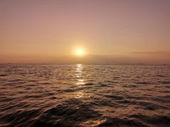 -深圳海钓·深圳钓鱼·拓展聚会鱼排