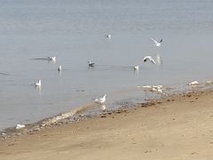 -山海广场