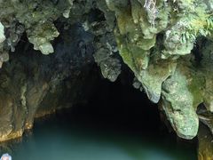 -怀托摩萤火虫洞