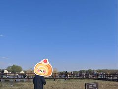 -西青郊野公园