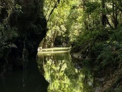 -怀托摩萤火虫洞