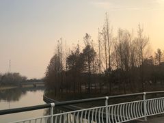 -同里国家湿地公园