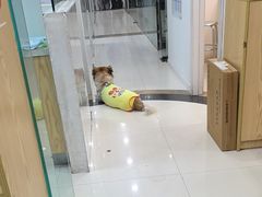 -芭比堂动物医院(广州爱宠下渡路分院)
