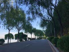 -丁香湖公园