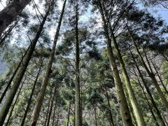 -雁荡山风景名胜区