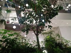 -大树餐厅(红旗街万达店)