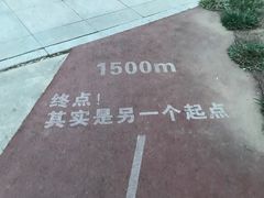 -绿岛公园(滨海新区)
