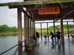 -溱湖国家湿地公园