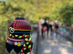 -西双版纳原始森林公园