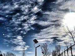 -鄂尔多斯野生动物园