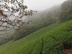 -敬亭山风景名胜区
