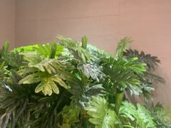 -卡朋西餐(悦汇城店)