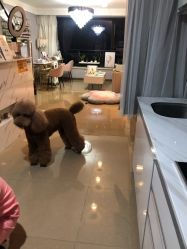 -첫번째 初见美学中心