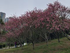 -堤角公园