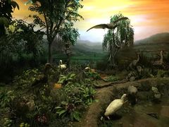 -陕西自然博物馆