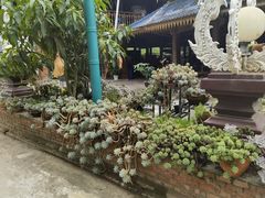 -西双版纳傣族园