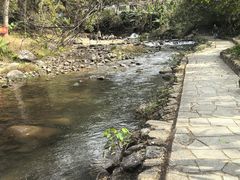 -广州市石门国家森林公园