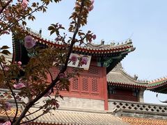 -天津大悲禅院