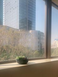-上海首尔丽格医疗美容医院