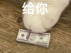 -东北农业大学