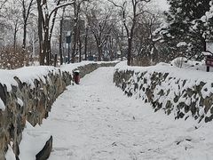 -阳台山自然风景区