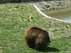 -上海野生动物园
