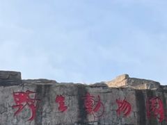 -合肥野生动物园