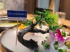 -一朵菌·野生菌探索家火锅(南亚店)