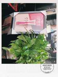 -锦尚名仕美容美发