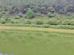 -九龙潭景区