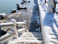 -悦海公园