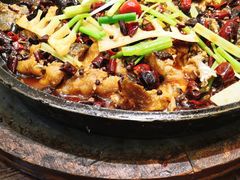 老板恋上鱼-老板恋上鱼(荣盛广场店)