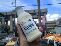 -东北农业大学饺子园