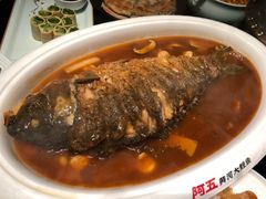 -阿五黄河大鲤鱼(英协路店)