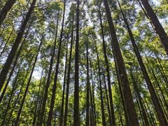 -山王坪喀斯特国家生态公园