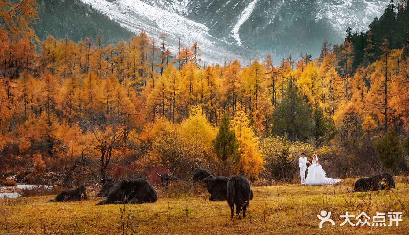 这里真的不是瑞士？是成都！[种草]毕棚沟绝美风景