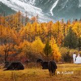 这里真的不是瑞士？是成都！[种草]毕棚沟绝美风景