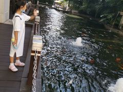 -Waterfall瀑布湾优健源(华侨城店)