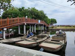 -莲花岛景区