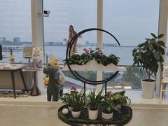 -朵云书院(滴水湖店)