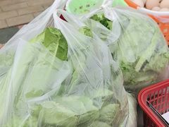 -大自然农场蔬菜草莓采摘园