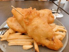 -怀托摩萤火虫洞