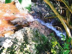 -东天目山风景区