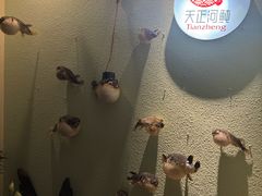 -天正河鲀·河豚亭(大连店)