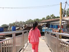-大湾区中央湿地公园-十九涌