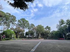 -银湖山郊野公园-相思林